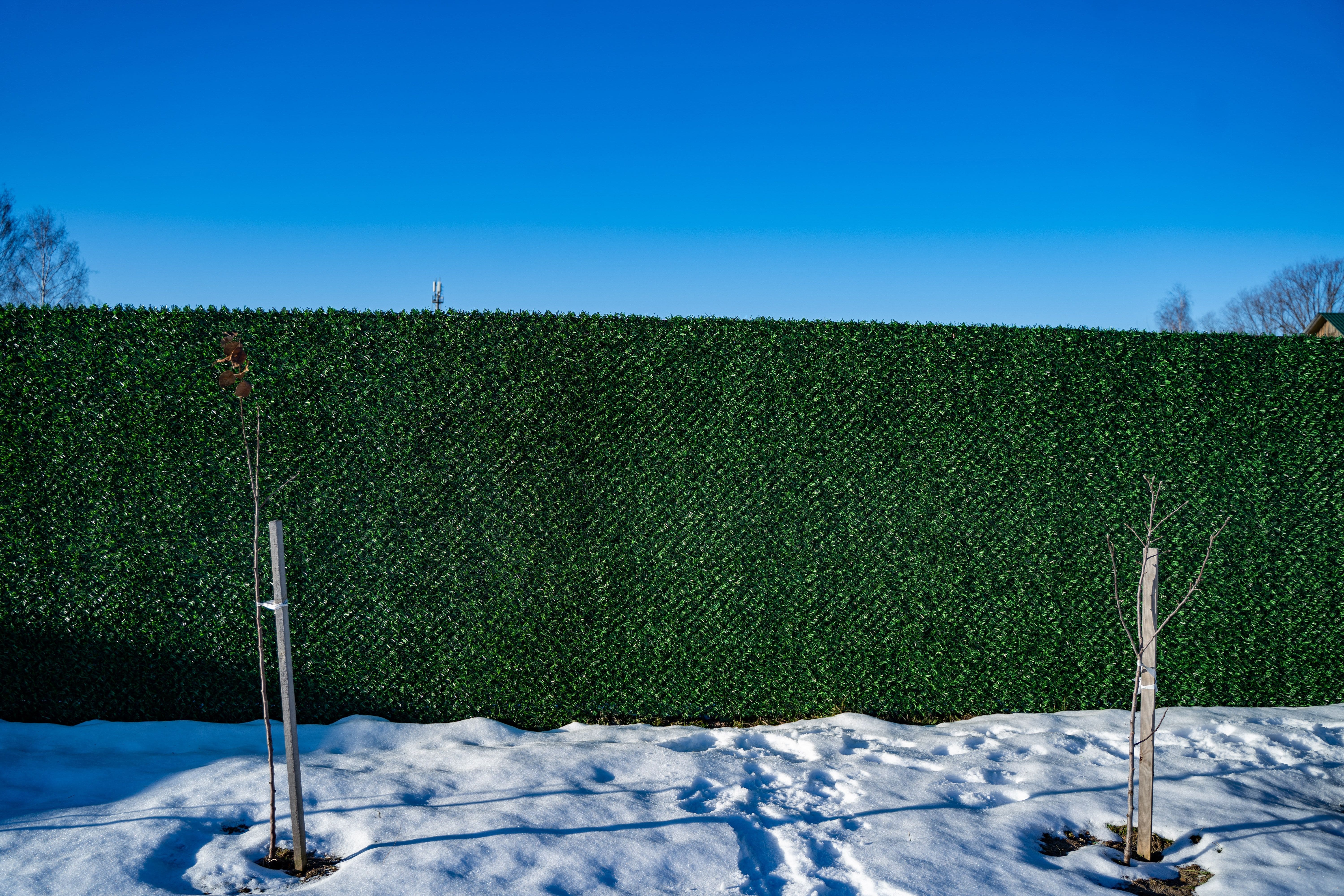 Вечнозеленый забор Grass Fence рулон 2м фото 8 в Мурманске